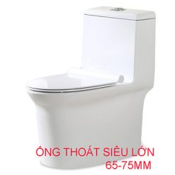 Bồn cầu Moonoah MN-1248