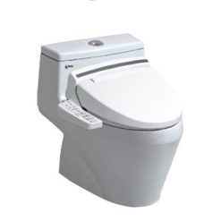Bồn cầu thông minh INAX AC-1035+CW-KB22AVN/BW1
