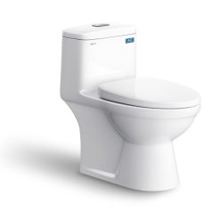Bồn cầu 1 khối Nano Titan Viglacera BL5