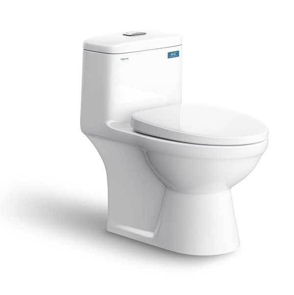 Bồn cầu 1 khối Nano Titan Viglacera BL5