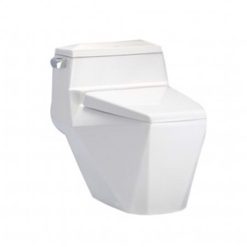 Bồn cầu hai khối COTTO C10077