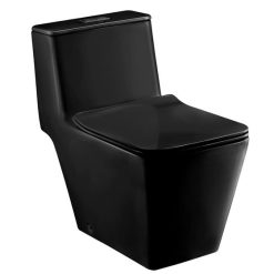 Bồn cầu một khối màu đen COTTO C1032 MBK