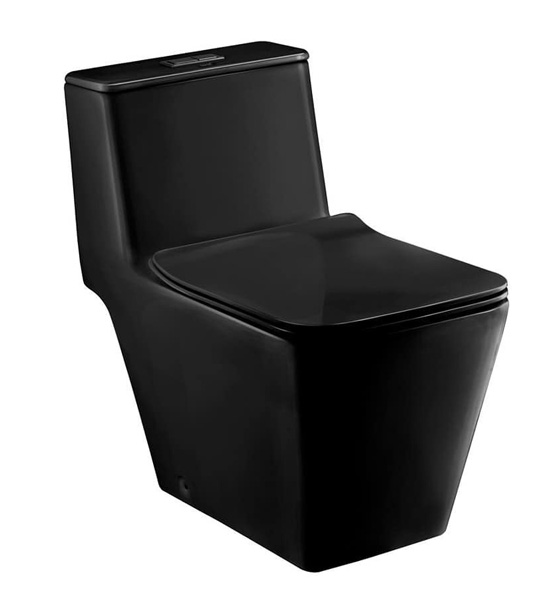 Bồn cầu một khối màu đen COTTO C1032 MBK
