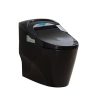 Bồn cầu mạ màu đen nắp rửa điện tử Miken BSJK-D9B