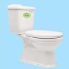 Bồn cầu Thiên Thanh Pisa B1212TS2T