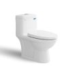 Bồn cầu 1 khối Viglacera V825