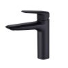 Vòi chậu lavabo nóng lạnh mạ đen LE-032