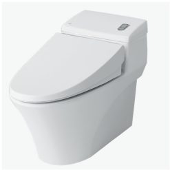 Bồn cầu Inax AC-1008VRN