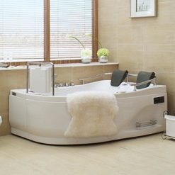 Bồn tắm massage Appollo AT-0919