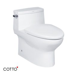Bồn cầu hai khối COTTO C10127