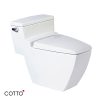 Bồn cầu hai khối COTTO C10187