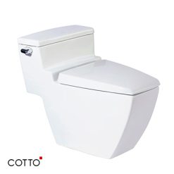 Bồn cầu hai khối COTTO C10187