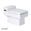Bồn cầu hai khối COTTO C10317