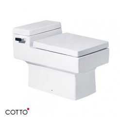 Bồn cầu hai khối COTTO C10317