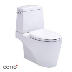 Bồn cầu hai khối COTTO C13527