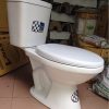 Bồn cầu giá rẻ Vimisco S02