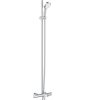 Sen cây tắm Grohe 26223001