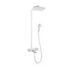 Sen cây nhiệt độ Raindance E Hansgrohe 27113000 (kèm vòi xả bồn)