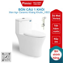 Bồn cầu một khối Viglacera V803+VG826 nắp êm