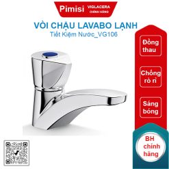 Vòi chậu lavabo lạnh Viglacera VG106