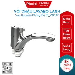 Vòi chậu lavabo lạnh Viglacera VG107