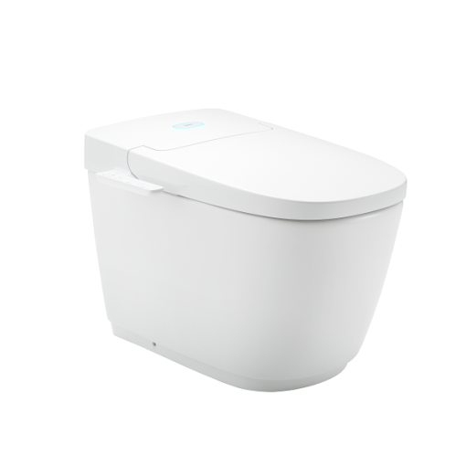 Bồn cầu nắp điện tử INAX AC-816VN