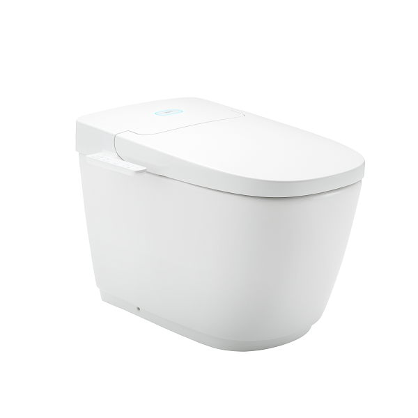 Bồn cầu nắp điện tử INAX AC-816VN