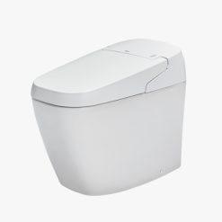 Bồn cầu nắp rửa điện tử Inax AC-G216VN/BW1