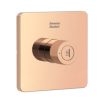 Đầu sen âm tường màu vàng American Standard FFAS0927WS