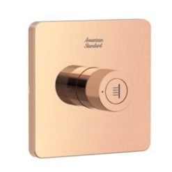 Đầu sen âm tường màu vàng American Standard FFAS0927WS