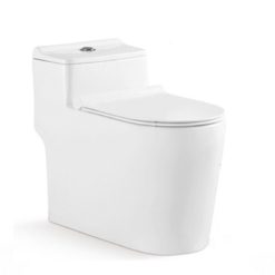 Bồn cầu liền khối Bancoot TS73