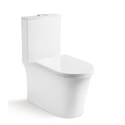 Bồn cầu liền khối Bancoot TS86