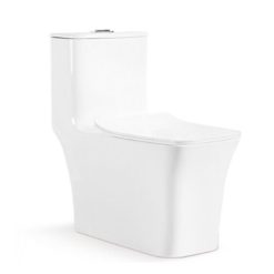 Bồn cầu liền khối Bancoot TS93