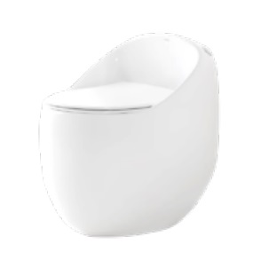 Bancoot TS41