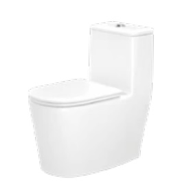 Bồn cầu liền khối Bancoot TS82