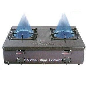 Bếp ga dương Rinnai RV-5600Gi