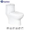 Bồn cầu 1 khối Saphias TS-157