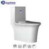Bồn cầu 1 khối Saphias TS-199