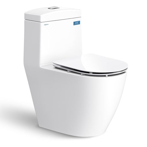 Bồn cầu 1 khối Viglacera V199