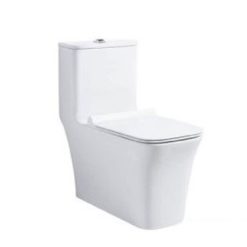 Bồn cầu Aqualem FT348