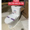 Bồn cầu liền khối Bancoot TS69