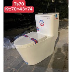 Bồn cầu liền khối Bancoot TS70