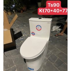 Bồn cầu liền khối Bancoot TS90