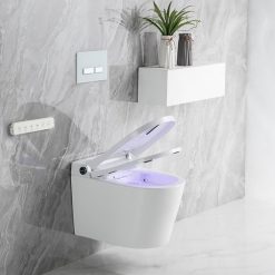 Bồn cầu két âm tường Clara CT-409W