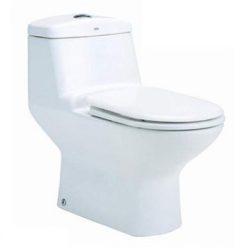 Bồn cầu hai khối COTTO C1111