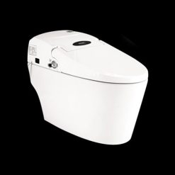 Bồn cầu điện tử liền khối Hảo Cảnh 0666