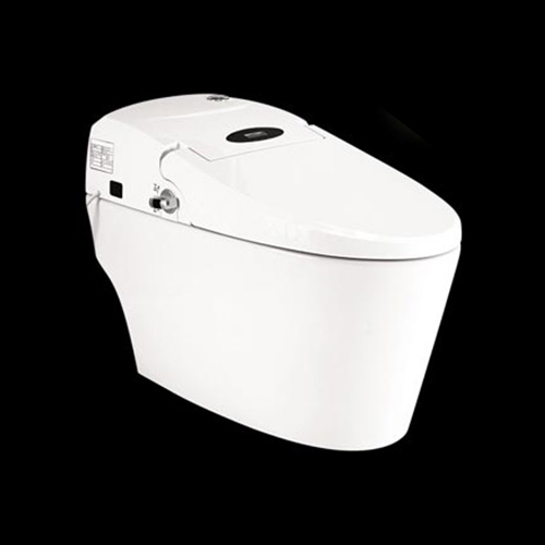Bồn cầu điện tử liền khối Hảo Cảnh 0666