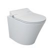 Bồn cầu 2 khối thông minh đặt sàn ELIMEN CB1088FR