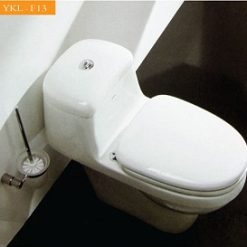 Bồn cầu Govern YKL-F13