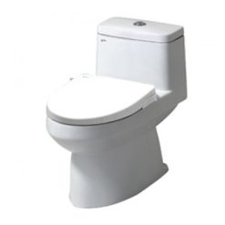 Bồn cầu nắp rửa cơ Inax AC-939/CW-S15VN